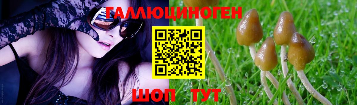 Калининград  Псилоцибиновые грибы мицелий  Вход с VPN 